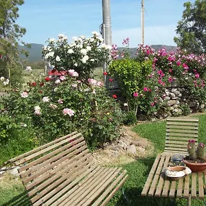  Bed & Breakfast Il Vecchioliveto Di Ornella