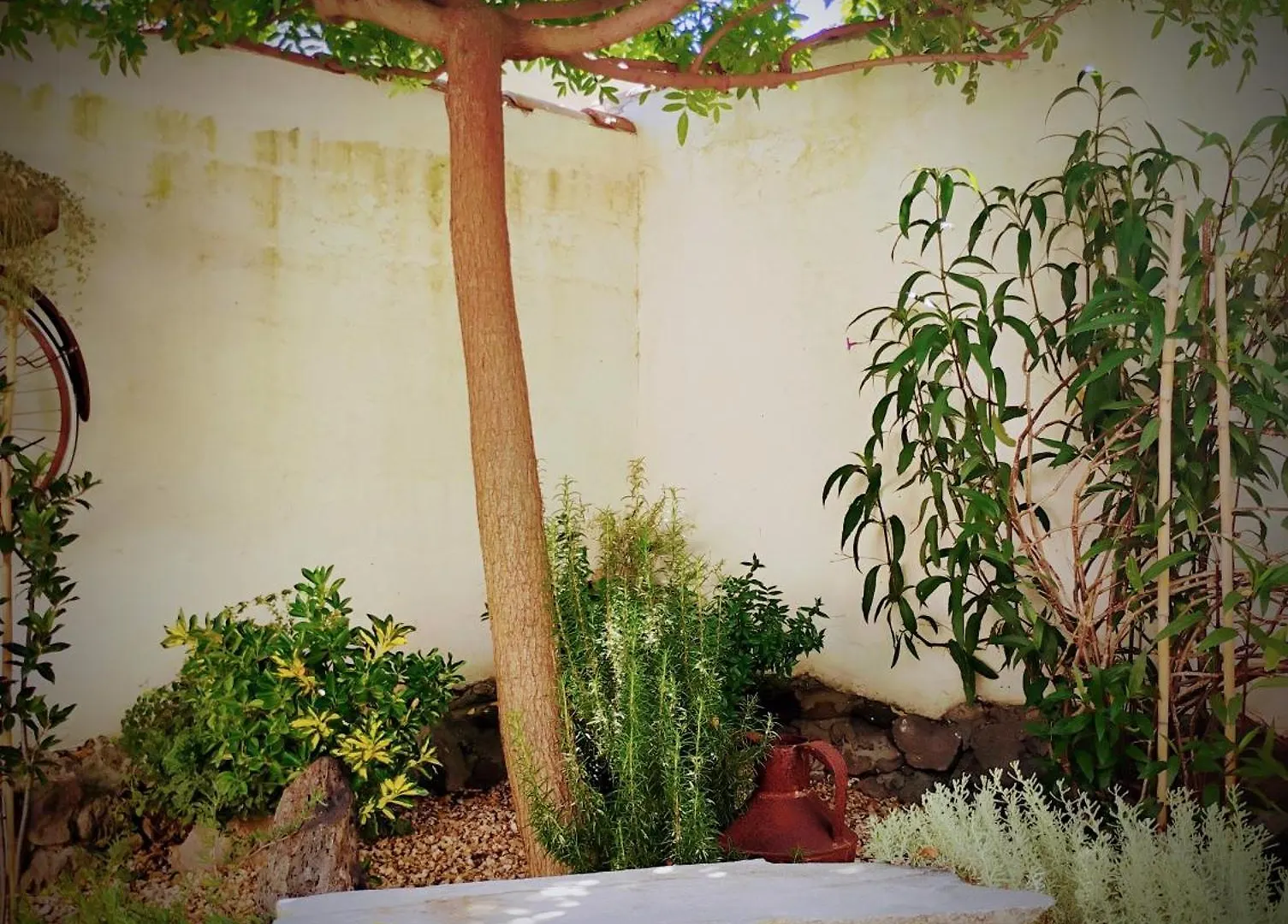 La Casa Del Glicine Marrubiu Διαμέρισμα 0*,